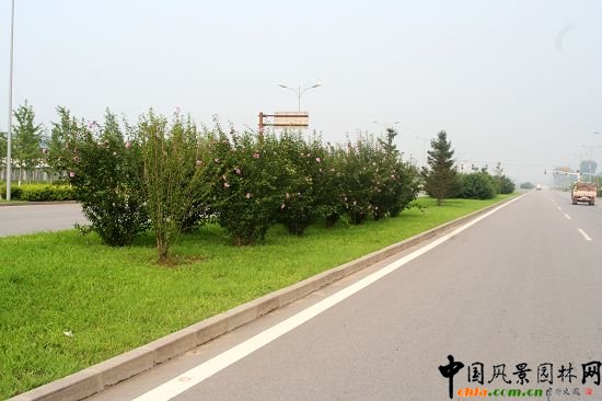 順義賓館周邊綠化