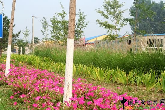 順義賓館周邊綠化