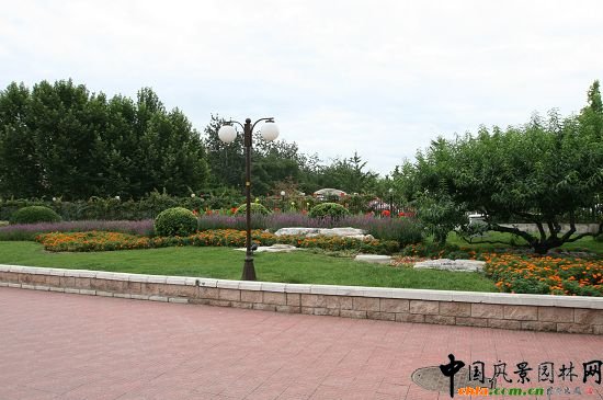 玉泉路地鐵南側綠地結合地形、置石栽植花卉