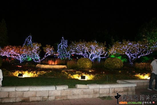 玉泉路地鐵南側綠夜景