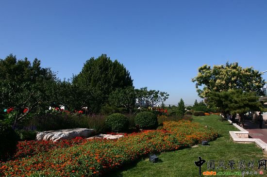 玉泉路路口南側綠地花卉布置結合用地原狀，景觀整體感強烈