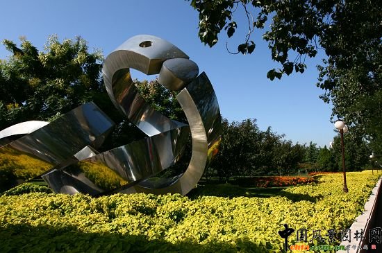 ���ܹ��@���G��ɫ�����ͷNֲ�Ļ����c���е�