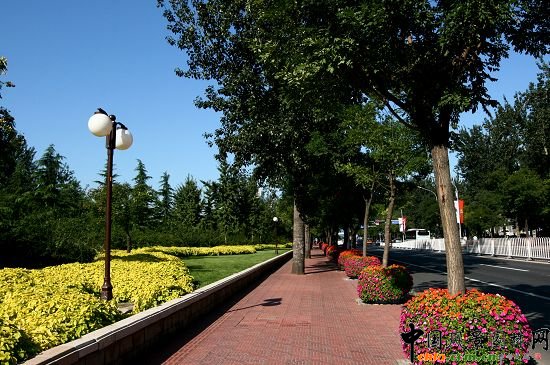 ���ܹ��@���G��ɫ��ǰ�Nֲ�Ļ����c���е��Д[�ŵĻ���