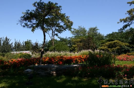 骨灰堂山體綠地花卉種植突出山野氣氛
