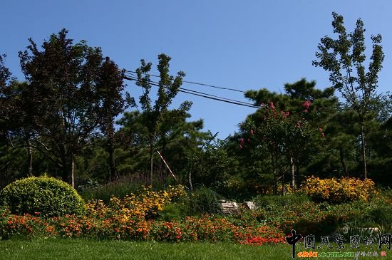 骨灰堂山體綠地花卉種植突出山野氣氛