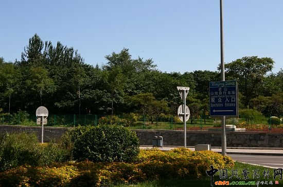 老山東小街交匯口綠地