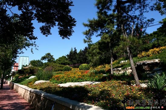骨灰堂山體綠地花卉種植突出山野氣氛