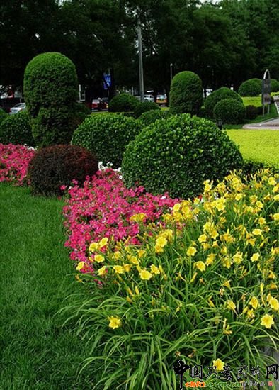 西二環示范段道路綠化整治工程