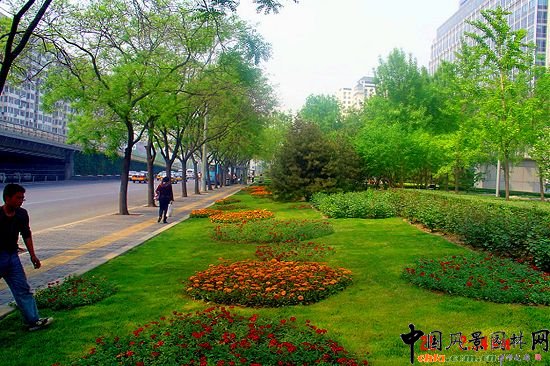 西二環示范段道路綠化整治工程