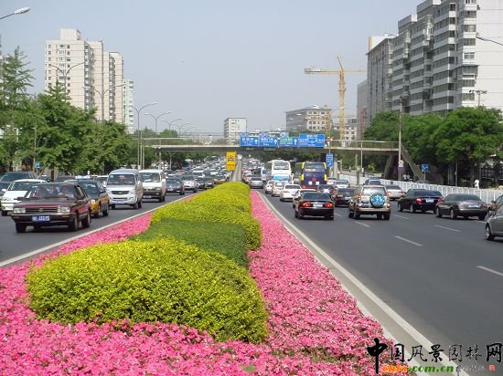 西二環示范段道路綠化整治工程