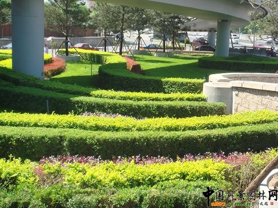 西二環示范段道路綠化整治工程