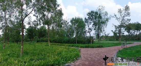 �����@·ֲ�ﾰ�^