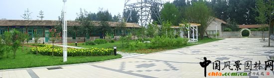 永定河管理所庭院綠化改造