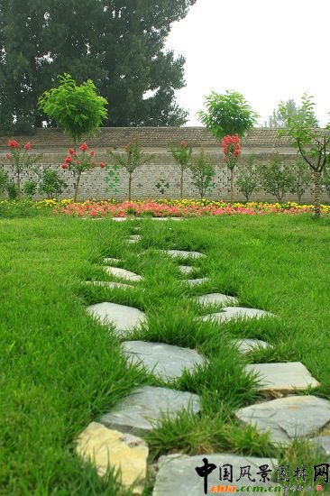 永定河管理所庭院綠化改造