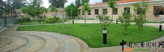 永定河管理所庭院綠化改造