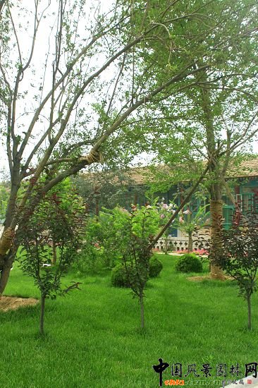 永定河管理所庭院綠化改造