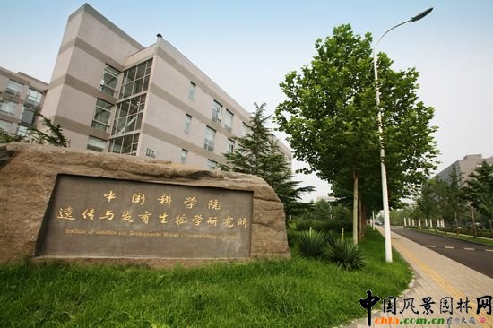 中國科學(xué)院遺傳與發(fā)育生物學(xué)研究所