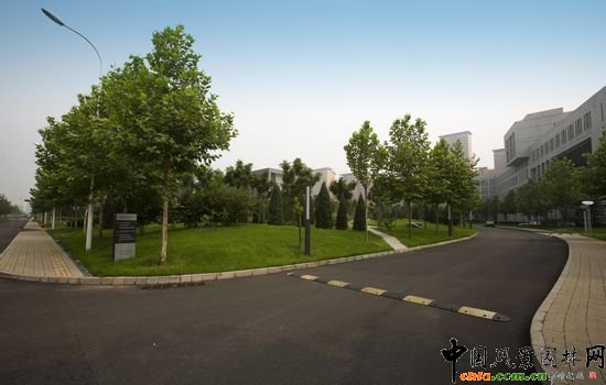 中軸路南中心綠化帶