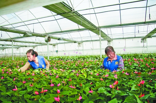 ���ͣ��������V�^׃�e�õ؞黨����ľ�@