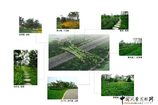 �W��ƥ��ɭ�ֹ��@���B�ȵ����C���k���^�@�־G������