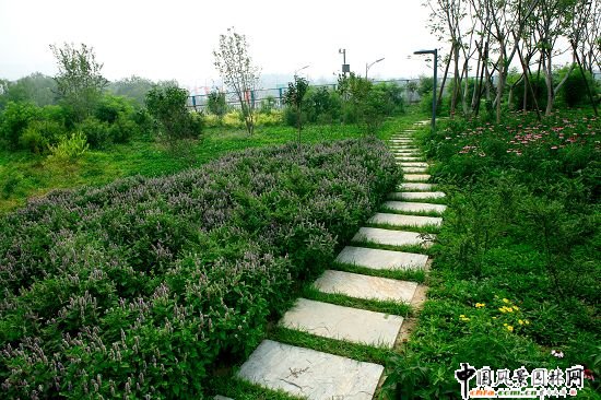 �W��ƥ��ɭ�ֹ��@���B�ȵ����C���k���^�@�־G������