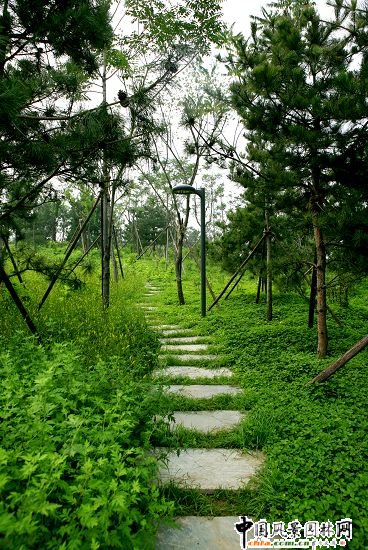 �W��ƥ��ɭ�ֹ��@���B�ȵ����C���k���^�@�־G������