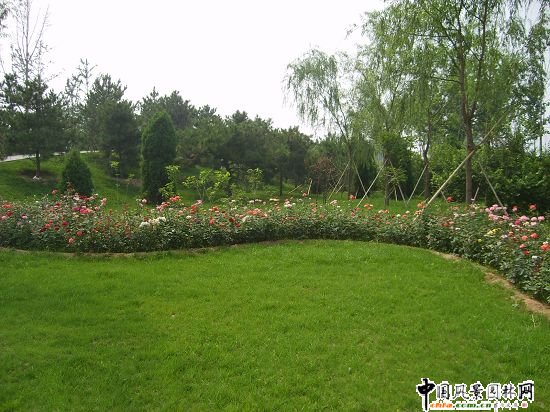 ������x�W��ƥ��ˮ�Ϲ��@�@�־G�����̵ڶ��˶�