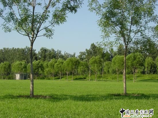 ������x�W��ƥ��ˮ�Ϲ��@�@�־G�����̵ڶ��˶�