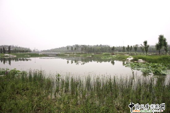 �W��ƥ��ɭ�ֹ��@�υ^2̖���Ę˶Έ@�־G������