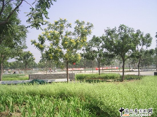 �����W��ƥ�˹��@���ą^(q��)���S��ꇹ���2�˶�