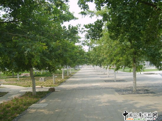 �＾��һ���������L��-16���Ԫ������Ӱ