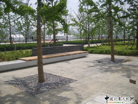 ֲ��Nֲ�c�@��СƷ����b���ЙC�Y(ji��)��