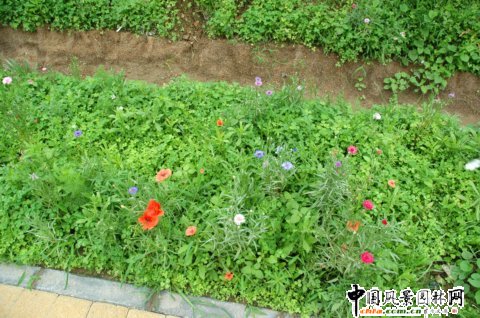 �W��ƥ��ɭ�ֹ��@�υ^(q��)3̖(h��o)�؈@�־G������