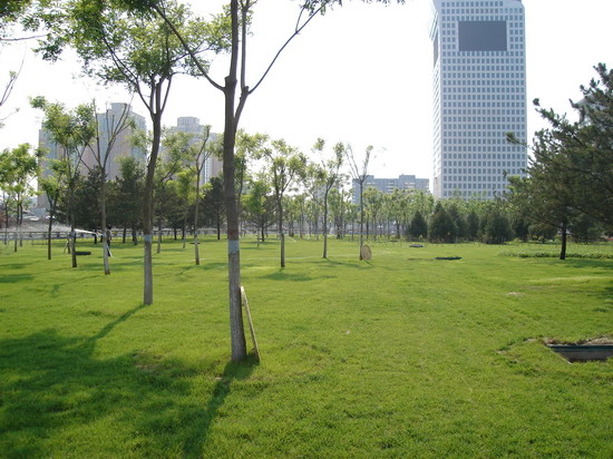 �����W��ƥ�˹��@���ą^(q��)���^�G�������ĭh(hu��n)㕽ӾG���^(q��)