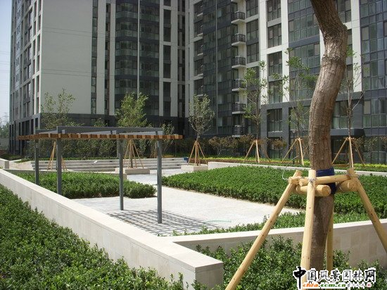 ��Է������ס�^D2�^���W�\ý�w����ڣ����̾G������