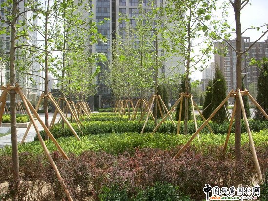 ��Է������ס�^(q��)D2�^(q��)���W�\(y��n)ý�w����ڣ����̾G������