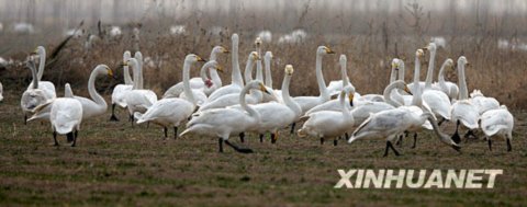 �S�ӝ�����Z��