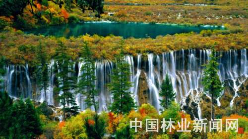 �҇���ر��o�I���ٰlչ(�D)������կ�χ��Ҽ���Ȼ���o�^