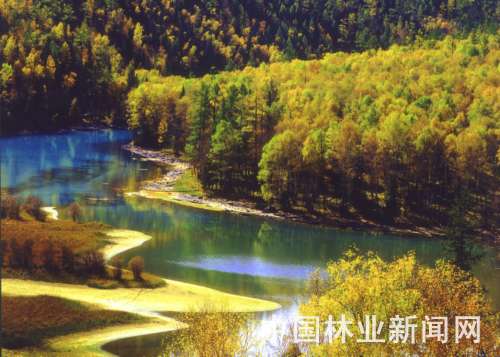 �҇���ر��o�I���ٰlչ(�D)�������d���X���