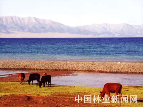 �҇���ر��o�I���ٰlչ(�D)�����½�ِ��ľ�����