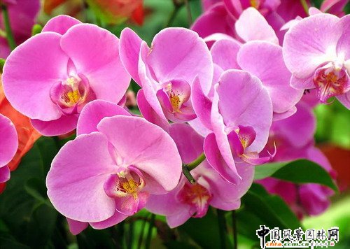 �����m(�D)