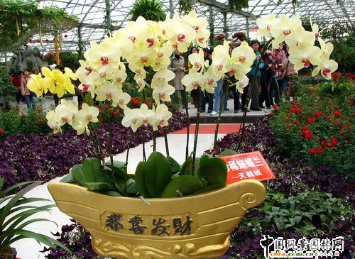 �����m(�D)