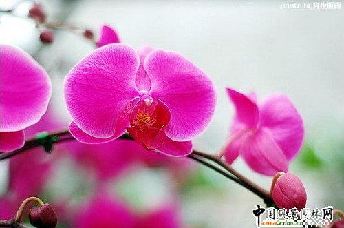 �����m(�D)