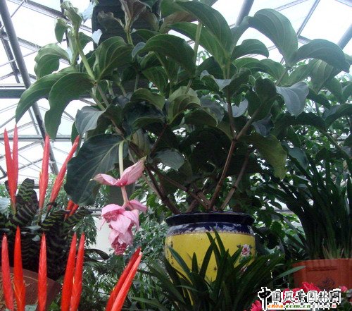 ��ɏ��(�D)