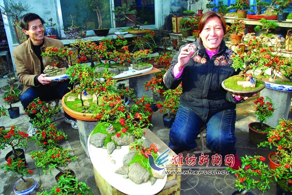 ɽ�|���ݣ������ػ�ľ�鹝������(�D)