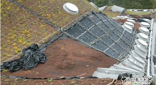 ���B(t��i)�͵ļ��ݿƌW(xu��)Ժ(�M�D)