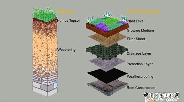 ���B�͵ļ��ݿƌWԺ(�M�D)