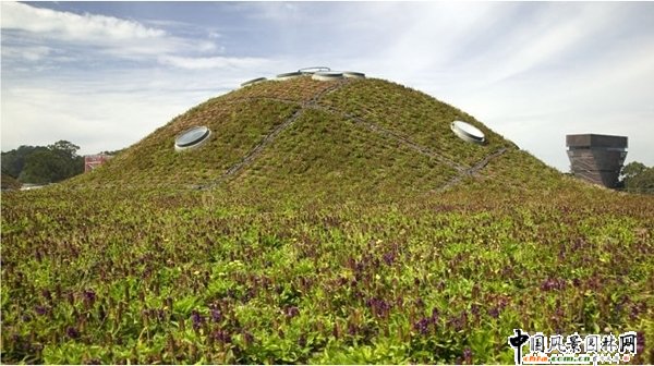 ���B(t��i)�͵ļ��ݿƌW(xu��)Ժ(�M�D)