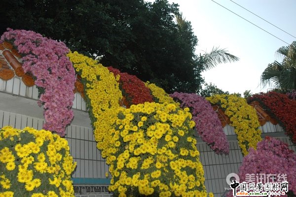 ���¾�����(�M�D)