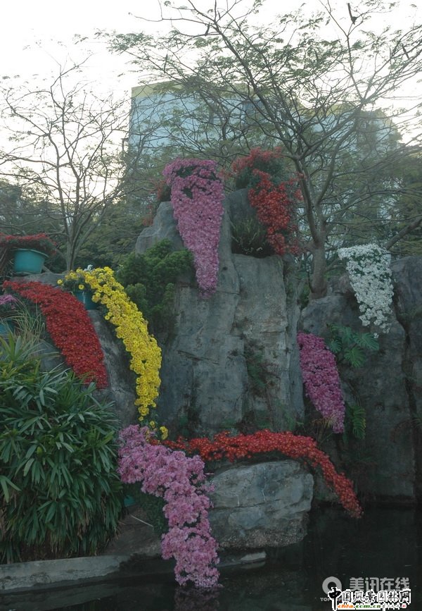 ���¾�����(�M�D)